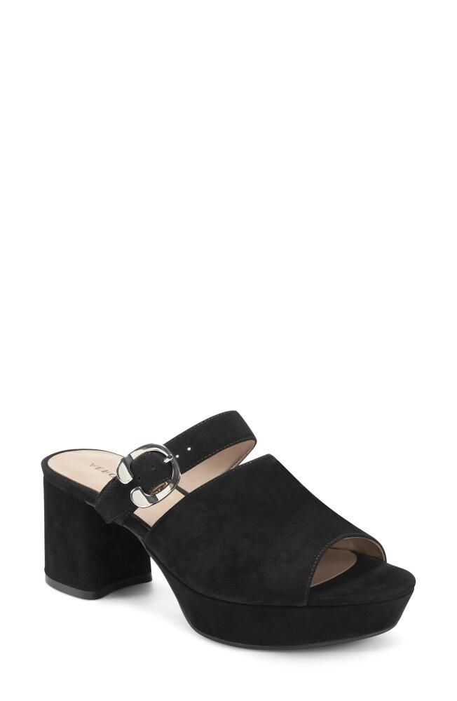 Aerosoles Cosmic Slide Sandal in Black Suede Cover