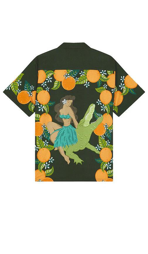 Duvin Design Citrus Shirt in Black Cover