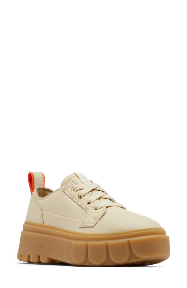 SOREL Caribou X Waterproof Platform Sneaker in Bleached Ceramic/Gum 16 Cover