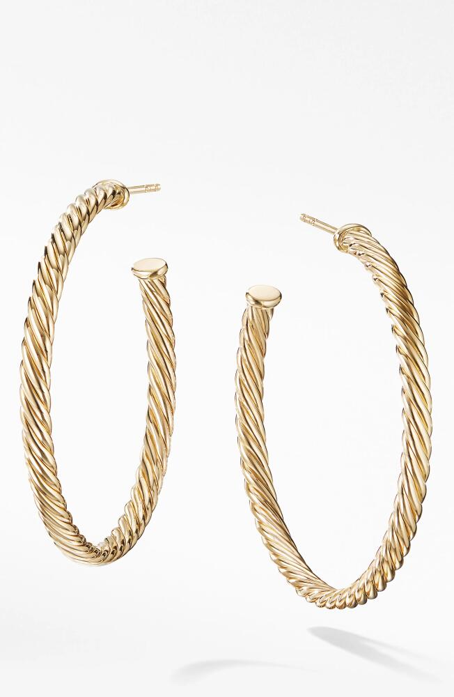 David Yurman Cable Spiral Hoop Earrings in Gold Cover