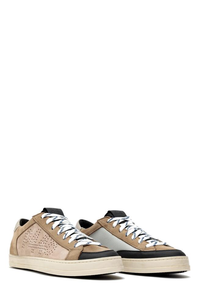 P448 Janet Sneaker in Tortora Cover