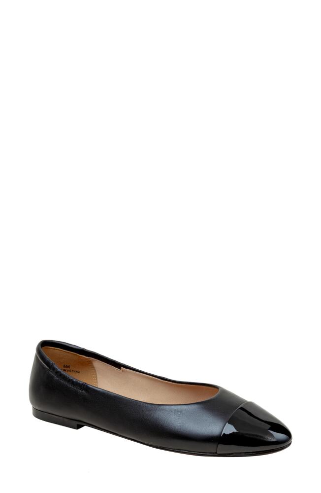 Linea Paolo Nolan Cap Toe Ballet Flat in Black Cover