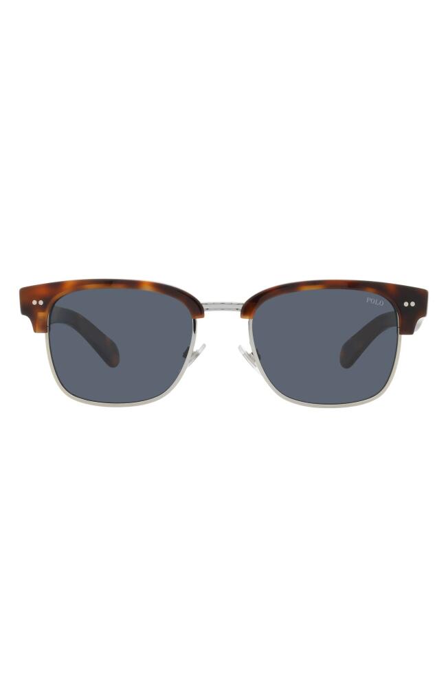 Polo Ralph Lauren 55mm Square Sunglasses in Shiny Havana Cover