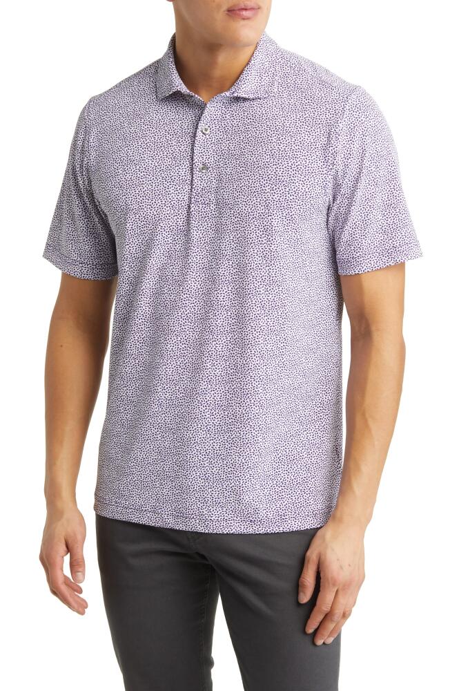 Cutter & Buck Virtue Ecopique Botanical Polo in College Purple Cover