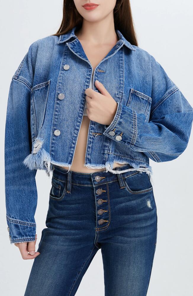 Bayeas Frayed Crop Denim Jacket in Medium Blue Cover