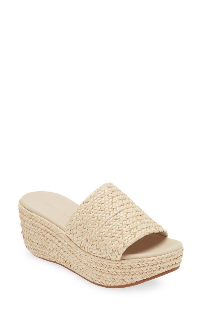 Chocolat Blu Yunis Sandal in Cream Raffia Cover