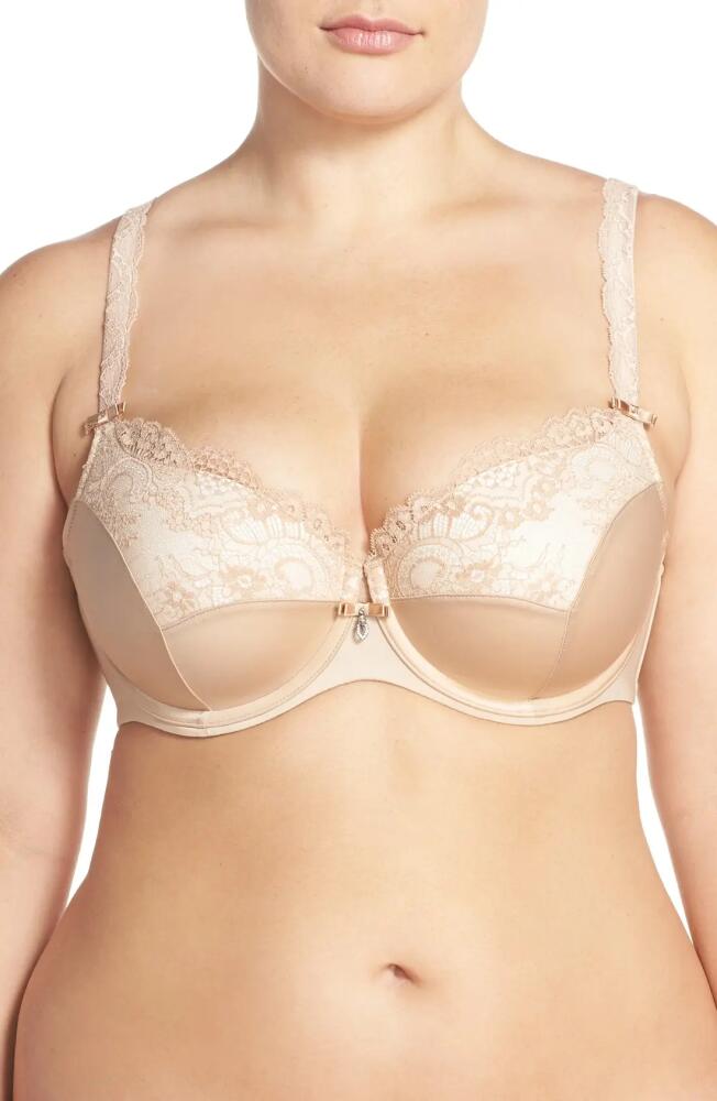 Curvy Couture Tulip Lace Balconette Bra in Bombshell Nude Cover