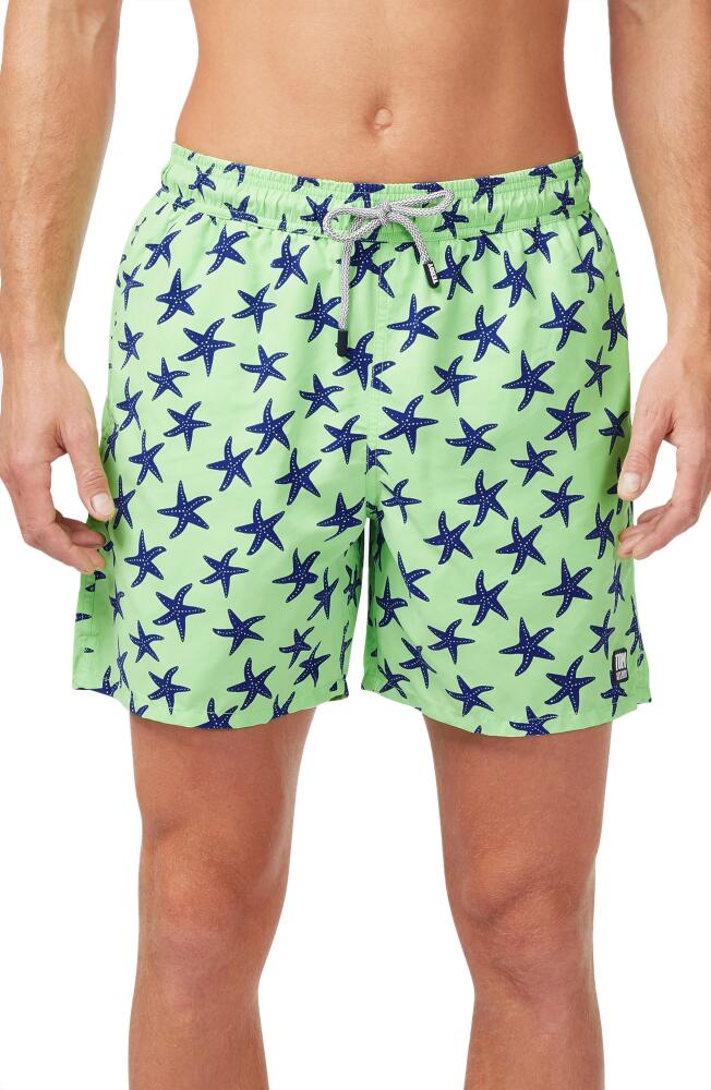 Tom & Teddy Starfish Print Swim Trunks in Fresh Green/Blue Cover