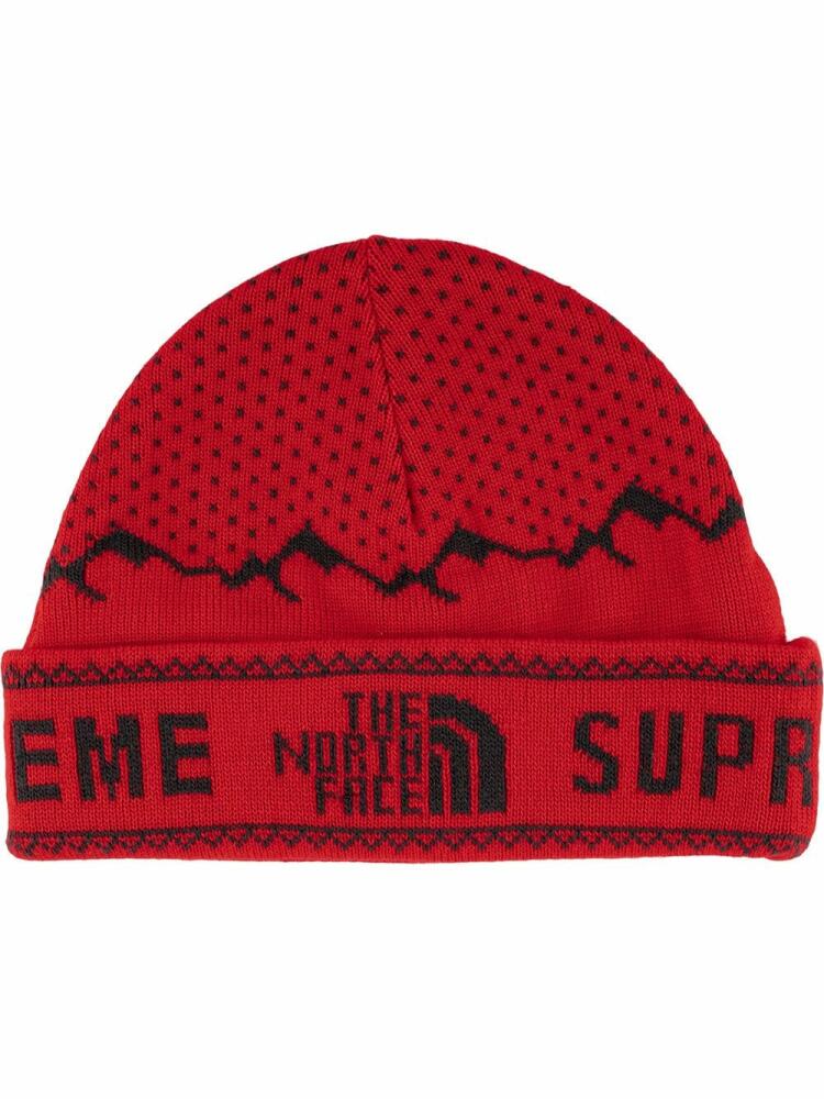 Supreme TNF fold beanie - Red Cover