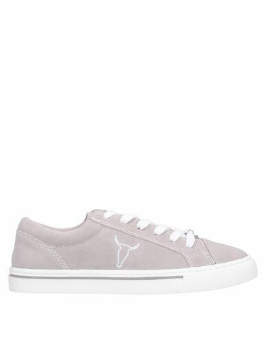 Windsor Smith Woman Sneakers Grey Soft Leather Cover