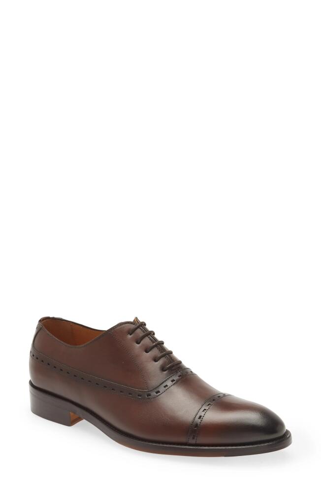 Mezlan Cap Toe Oxford in Brandy Cover