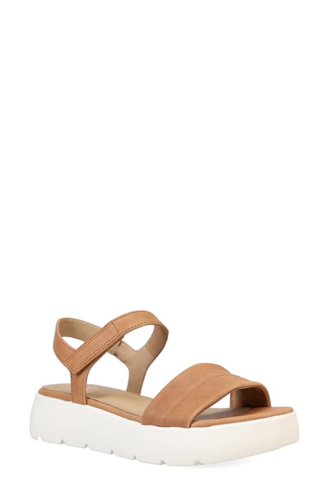 Eileen Fisher Jolie Ankle Strap Platform Sandal in Honey Cover