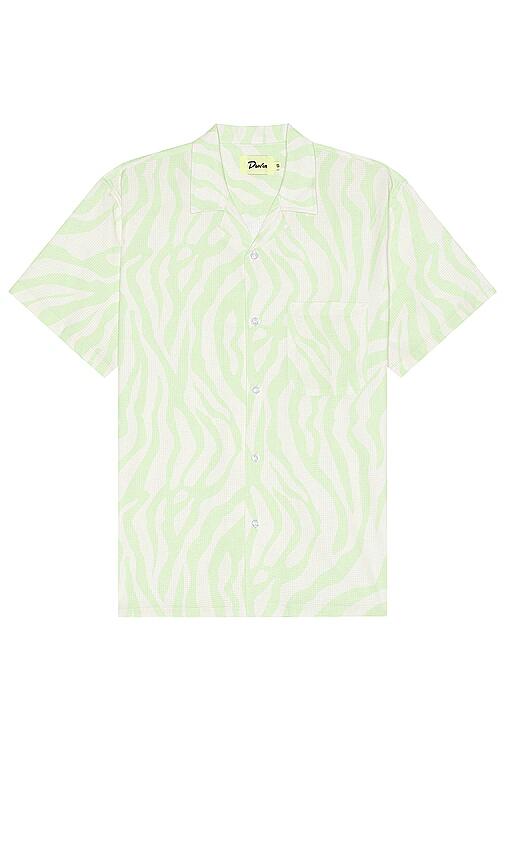 Duvin Design Zebra Shirt in Green Cover