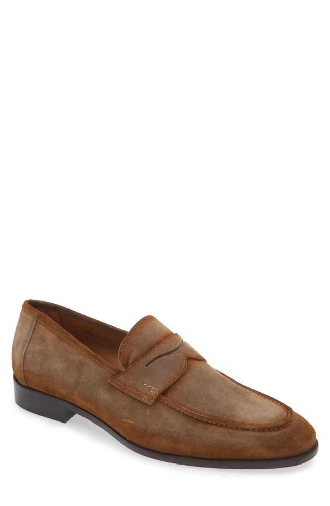 Mezlan Caro Penny Loafer in Taupe Cover