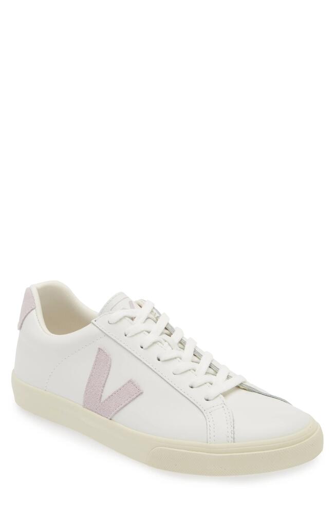 Veja Esplar Sneaker in Extra-White Parme Cover