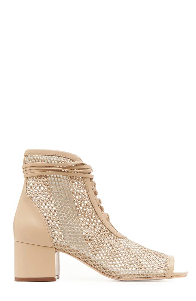 Daniella Shevel Nola Bootie in Beige Cover