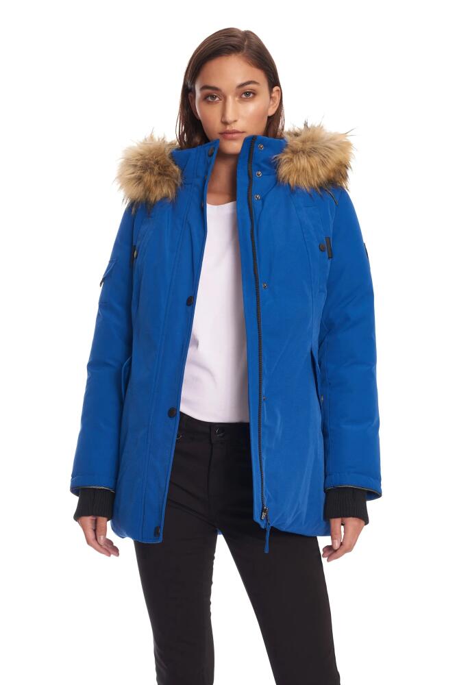 Alpine North GLACIER - Vegan Down Parka Winter Jacket in Cobalt Cover