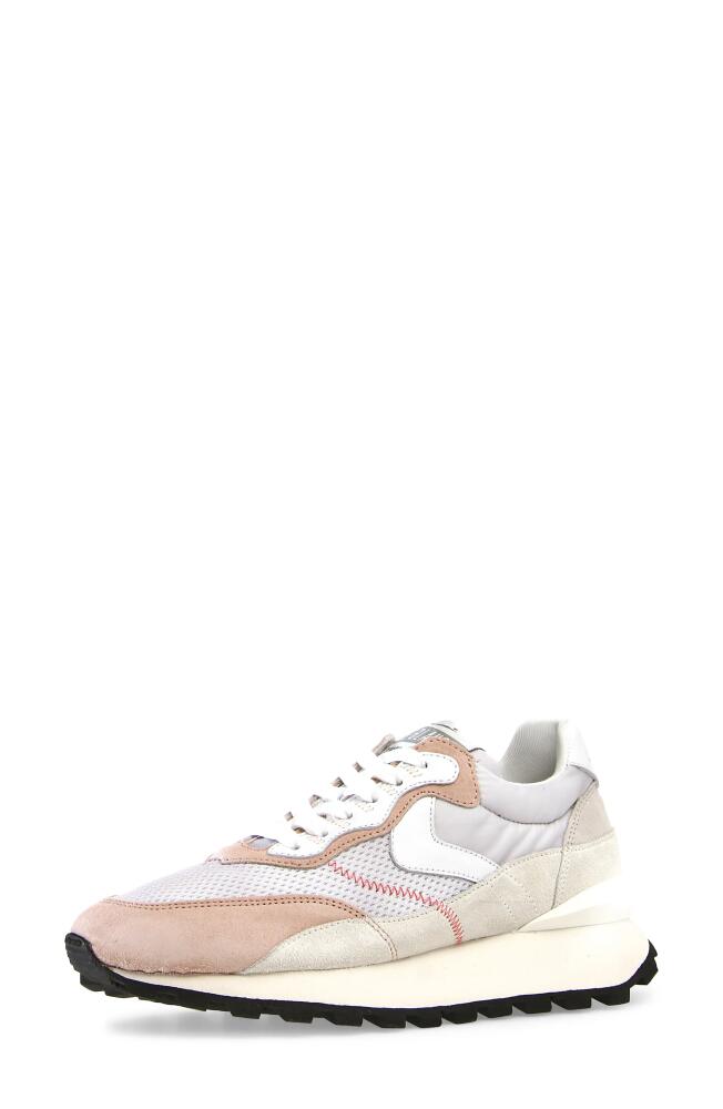 Voile Blanche Qwark Hype Sneaker in Rose Grey Cover