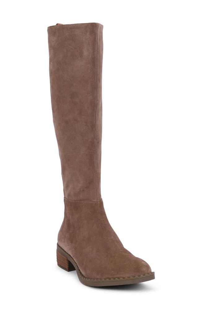 GENTLE SOULS BY KENNETH COLE Blake Knee High Boot in Taupe Cover