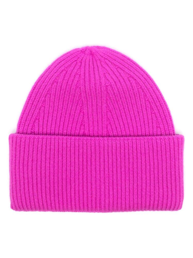 Laneus ribbed beanie hat - Pink Cover