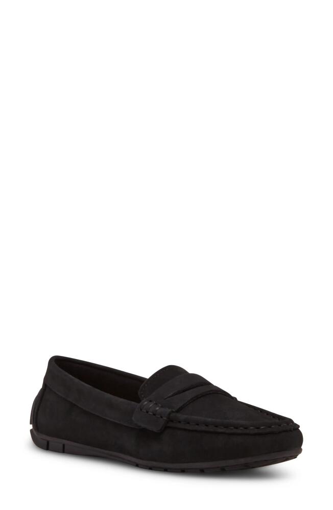 Blondo Shellby Waterproof Driving Loafer in Black Nubuck Cover