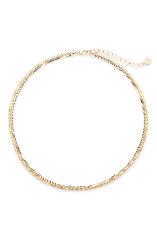 Brook and York Izzy Herringbone Chain Choker in Gold Cover