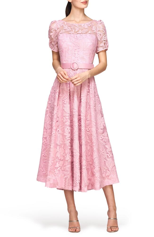 Kay Unger Haisley Belted Lace Cocktail Dress in Pink Mauve Cover