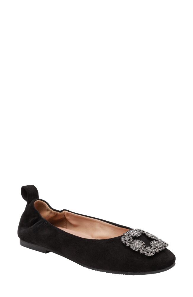 Linea Paolo Minax Embellished Ballet Flat in Black Cover