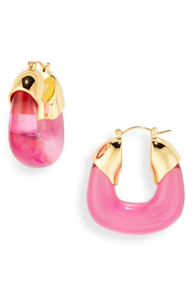 Lizzie Fortunato Flamingo Hoop Earrings in Pink Cover