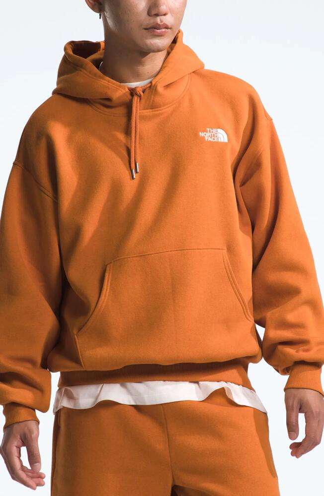 The North Face Evolution Pullover Hoodie in Desert Rust/Tnf White Cover