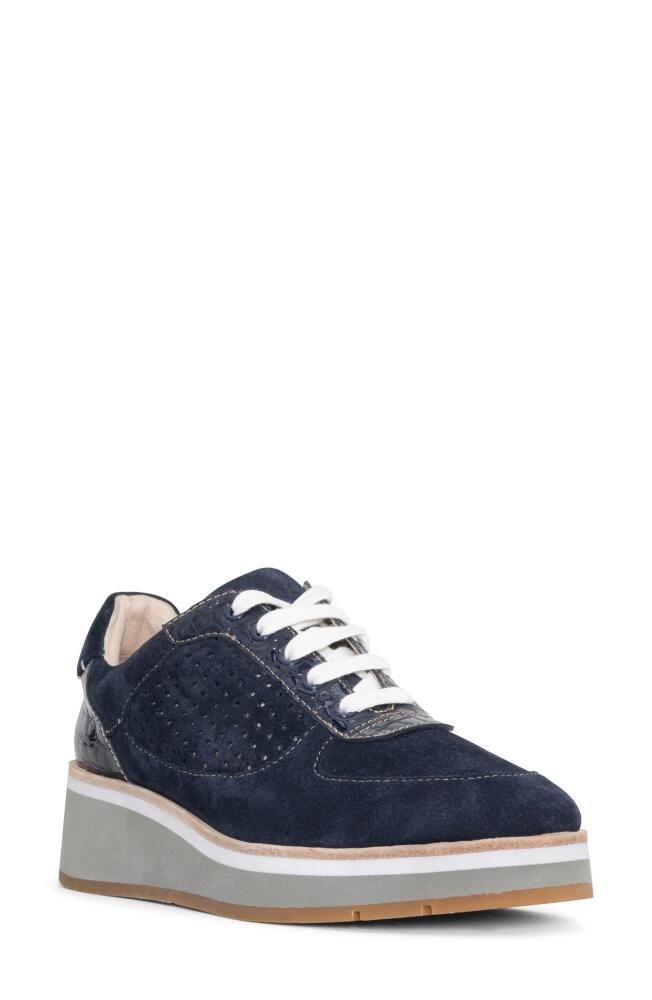 Donald Pliner Daisey Wedge Sneaker in Navy Cover