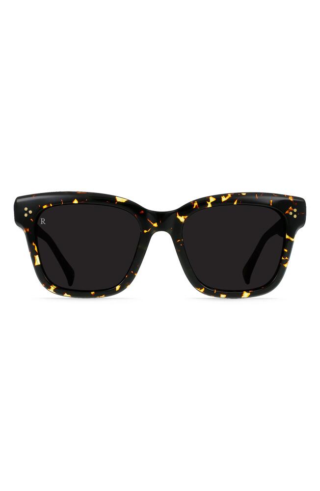 RAEN Breya 54mm Square Sunglasses in Cosmos Tortoise/Dark Smoke Cover