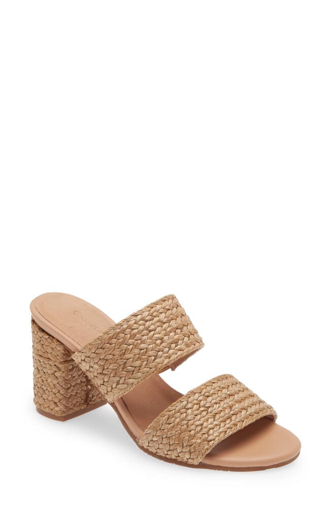 Chocolat Blu Calissa Raffia Slide Sandal in Natural Raffia Cover