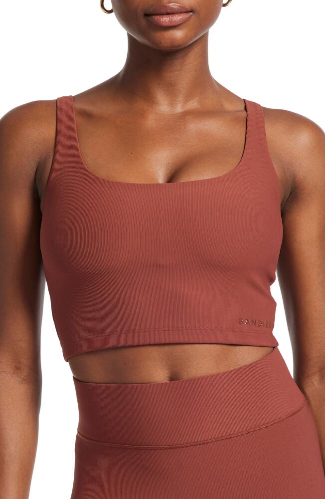 BANDIER Tempo Ribbed Longline Sports Bra in Cherry Mahogany Cover