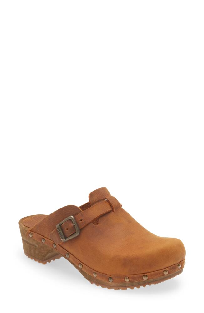 Sanita Kristel Stud Leather Clog in Chestnut Cover