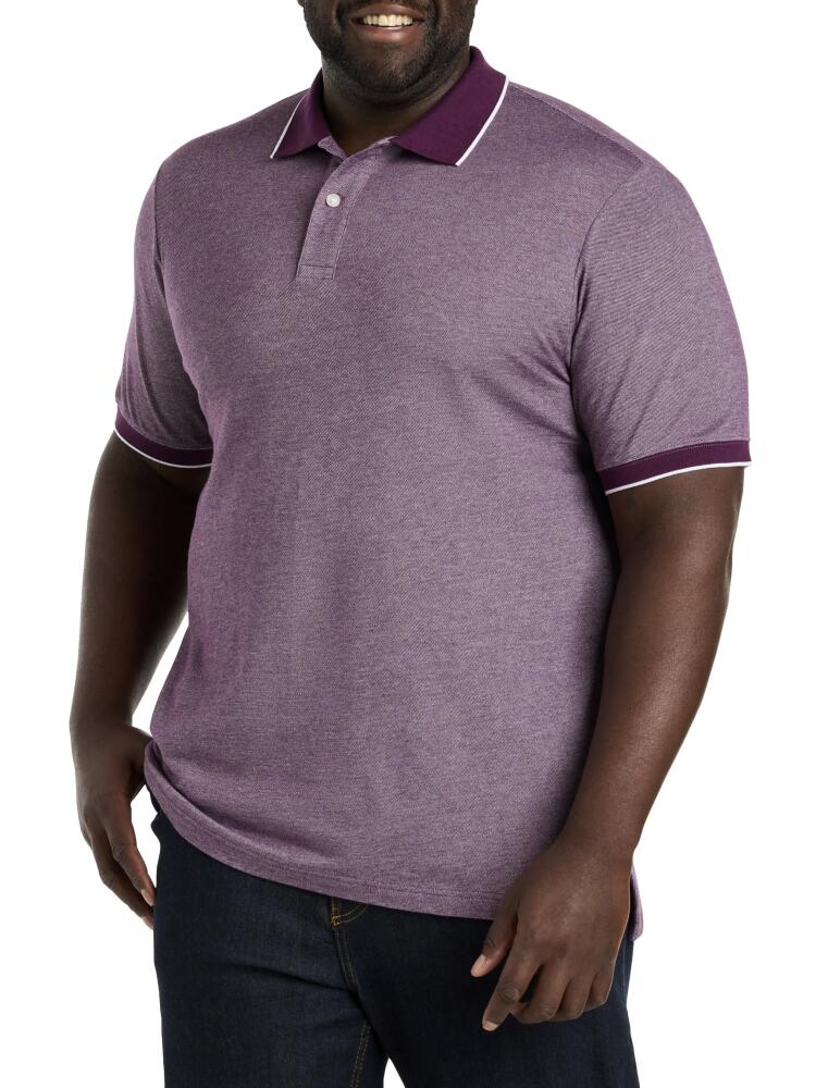 Harbor Bay by DXL Oxford Tipped Polo Shirt in Potent Purple Cover