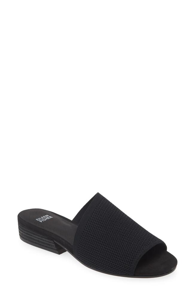 Eileen Fisher Noko Slide Sandal in Black Cover