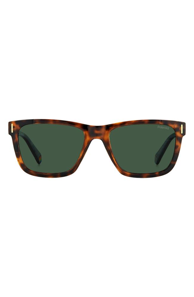 Polaroid 54mm Polarized Square Sunglasse in Havana/Green Polar Cover