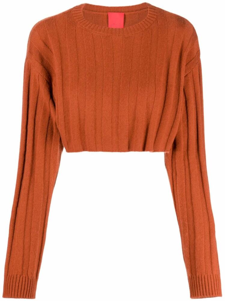 Cashmere In Love Remy ribbed-knit cropped jumper - Brown Cover