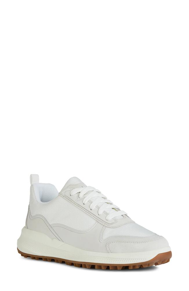 Geox PG1X2 Sneaker in White/Off White Cover