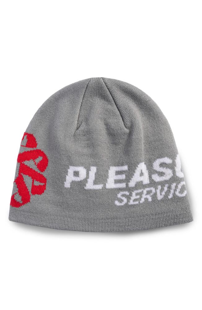 PLEASURES Service Skully Beanie in Grey Cover