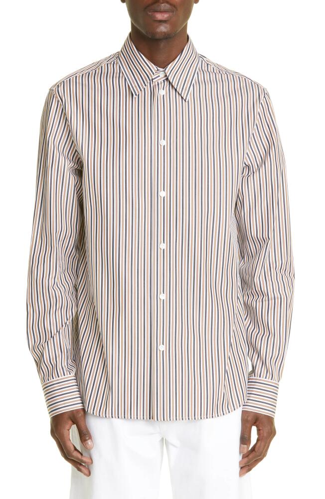 Bottega Veneta Stripe Cotton Button-Up Shirt in Camel /Black Cover