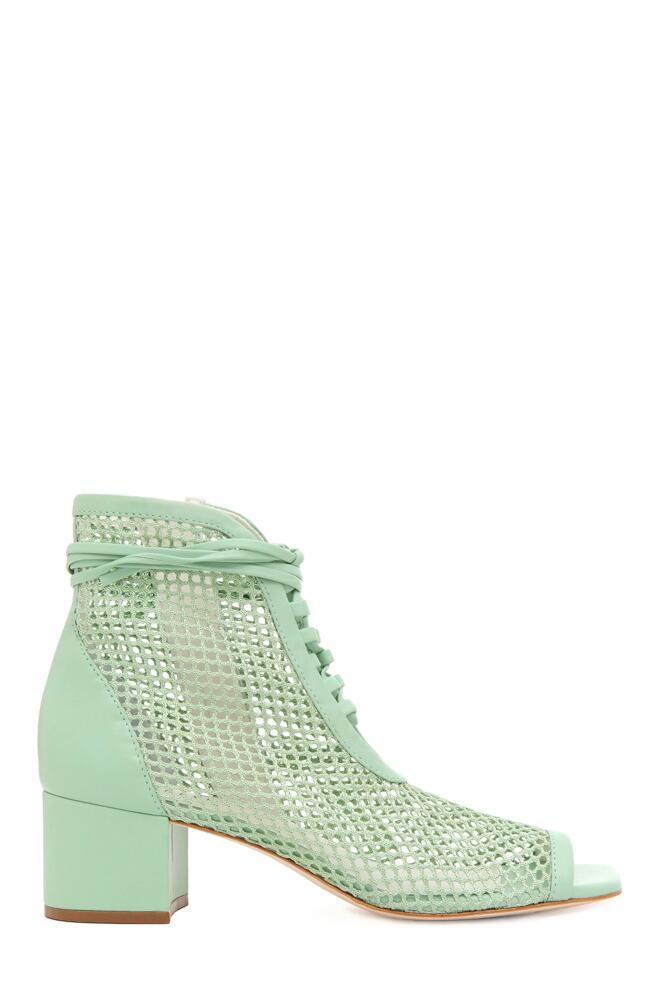 Daniella Shevel Nola Bootie in Mint Cover