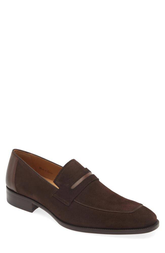 Mezlan Galeno Penny Loafer in Brown Cover