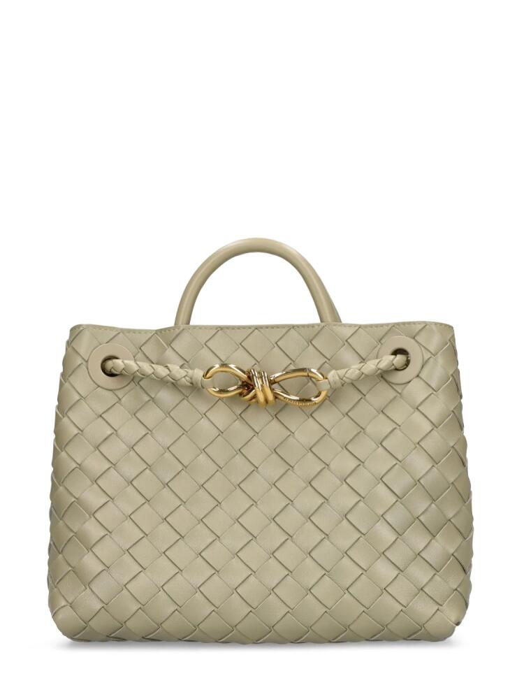 BOTTEGA VENETA Small Andiamo Leather Top Handle Bag Cover