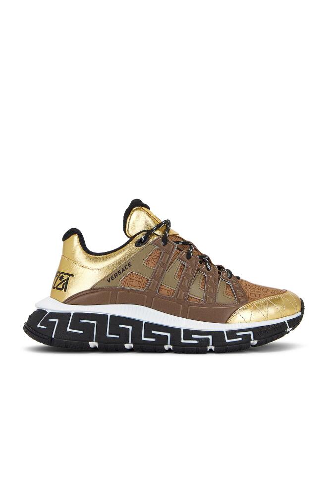 VERSACE Sneaker in Metallic Gold Cover