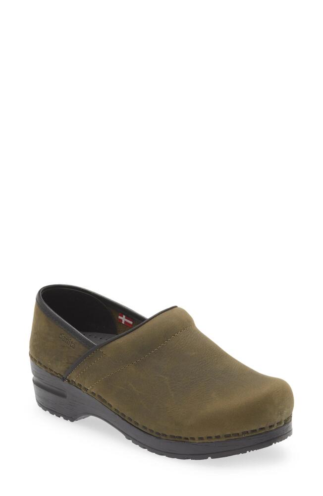 Sanita Professional Leather Clog in Olive Cover