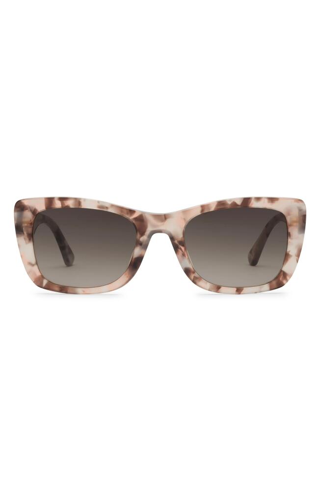 Electric Portofino 52mm Gradient Rectangular Sunglasses in Flamingo/Black Gradient Cover