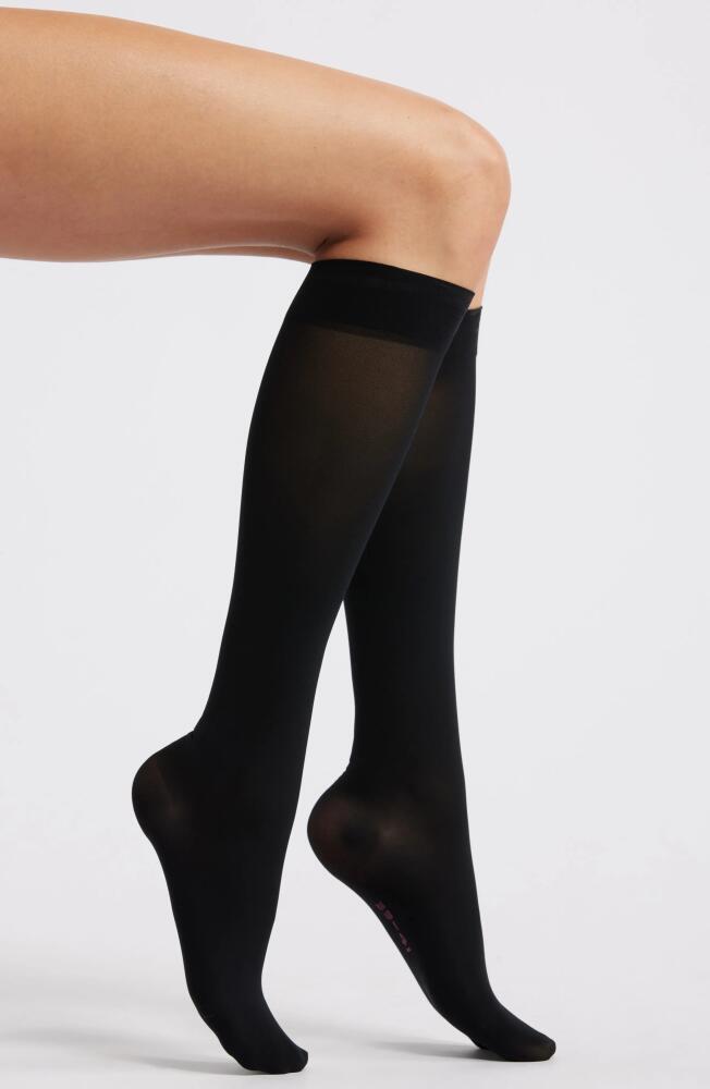 ITEM m6 Translucent Knee High Socks in Black Cover