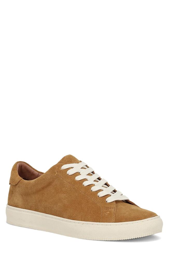 Frye Astor Sneaker in Golden Rod Cover